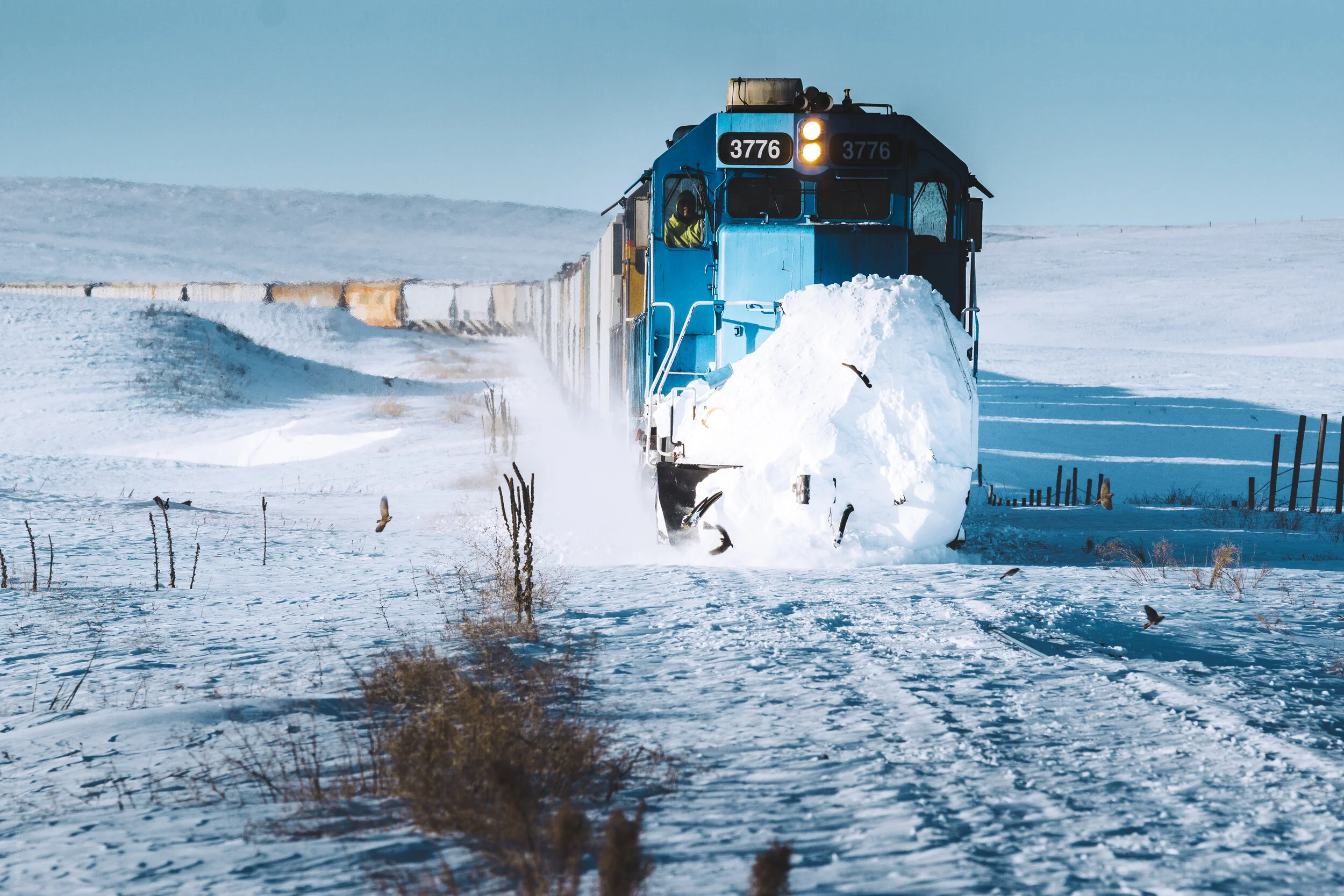 SteelWheels.Photography &mdash; archive image 27