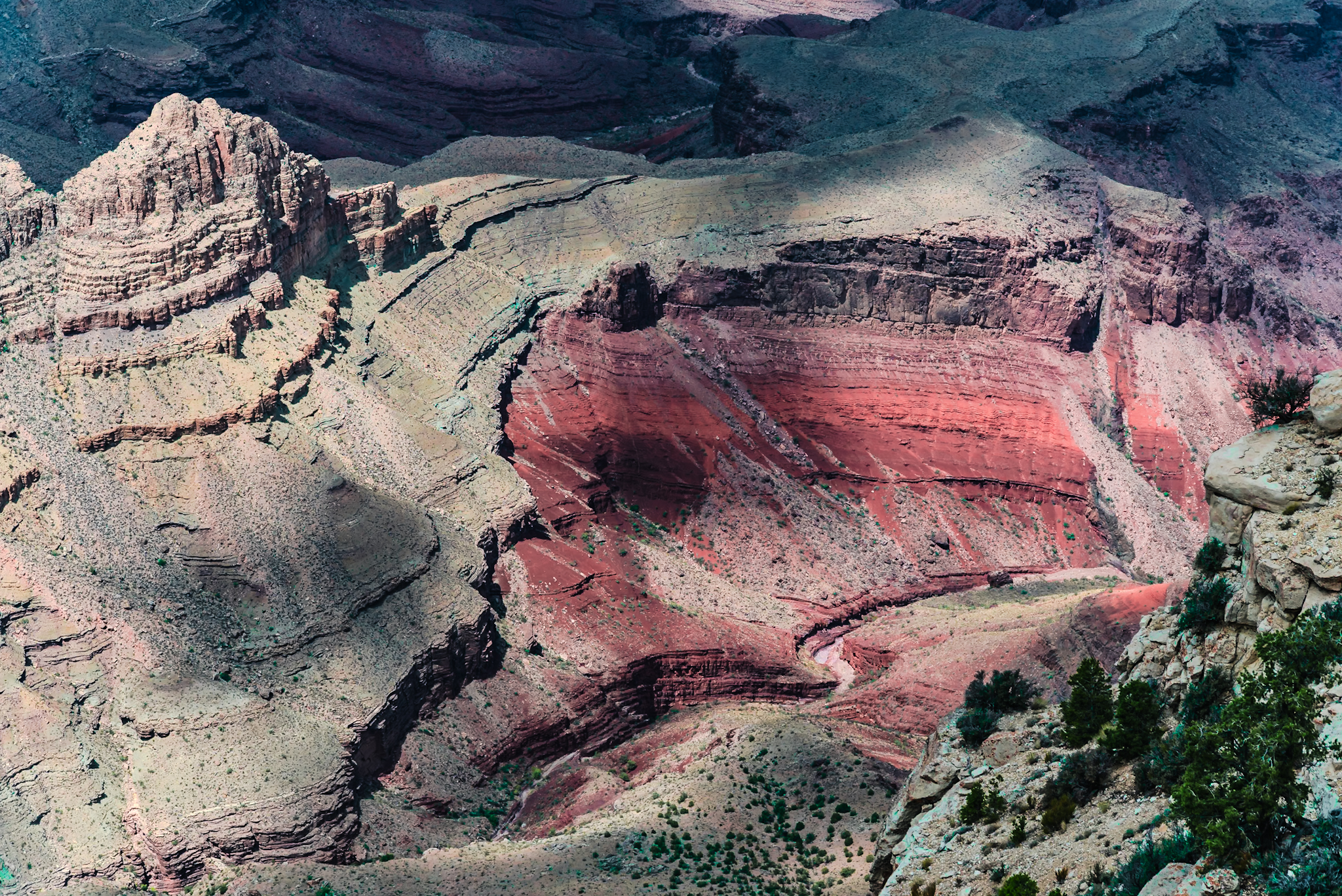 Grand Canyon inner canyon &mdash; Hakatai Shale formation burning red, juniper foreground, telephoto compression