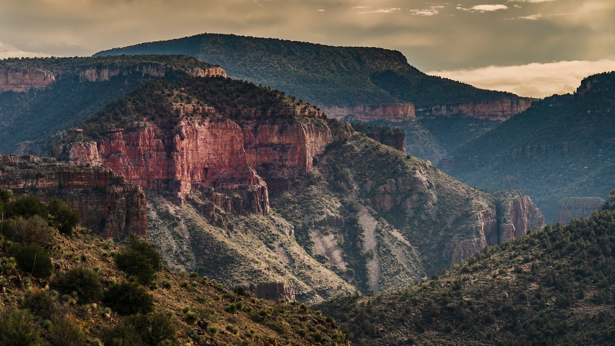 Storm light over the Mogollon Rim &mdash; red rock cliffs and forested canyon country under a dramatic sky